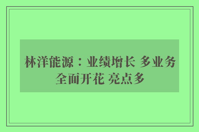 林洋能源：业绩增长 多业务全面开花 亮点多