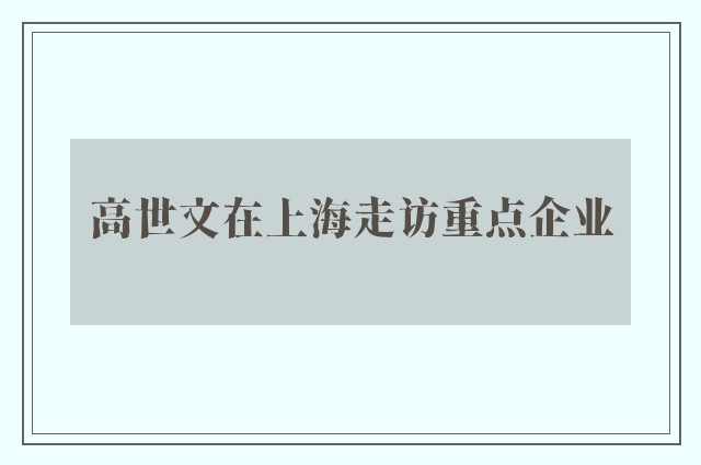 高世文在上海走访重点企业