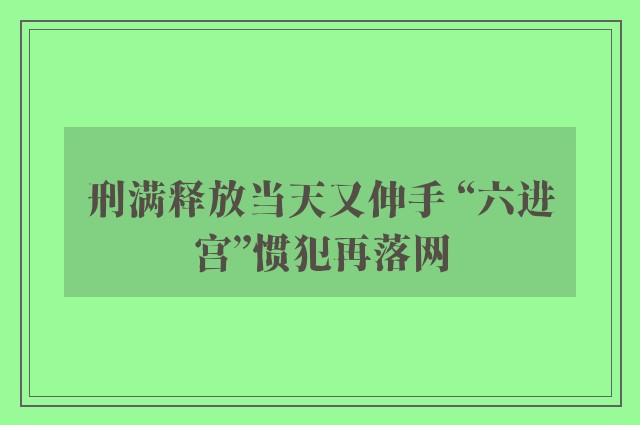 刑满释放当天又伸手 “六进宫”惯犯再落网