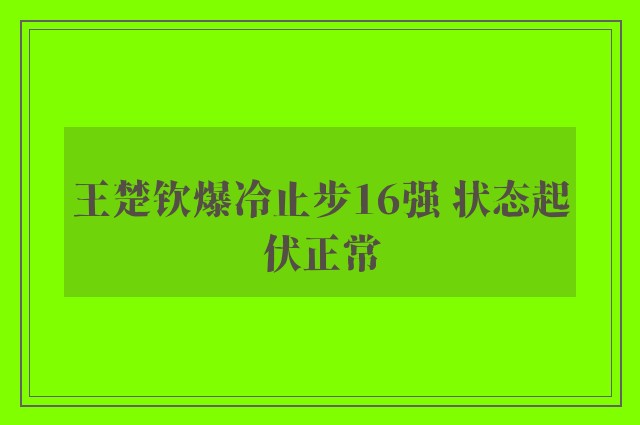 王楚钦爆冷止步16强 状态起伏正常