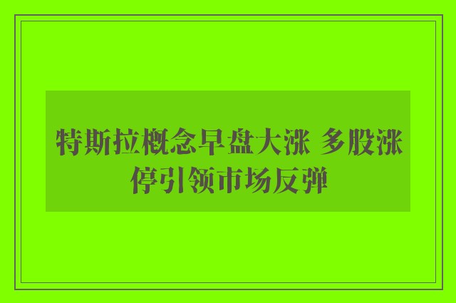 特斯拉概念早盘大涨 多股涨停引领市场反弹