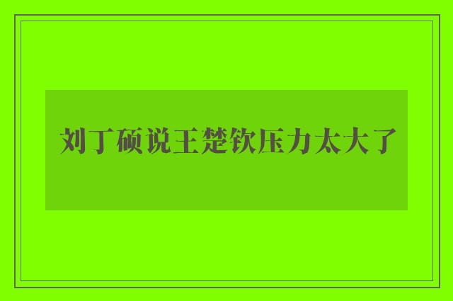 刘丁硕说王楚钦压力太大了