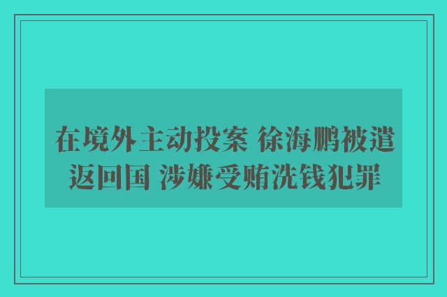 在境外主动投案 徐海鹏被遣返回国 涉嫌受贿洗钱犯罪