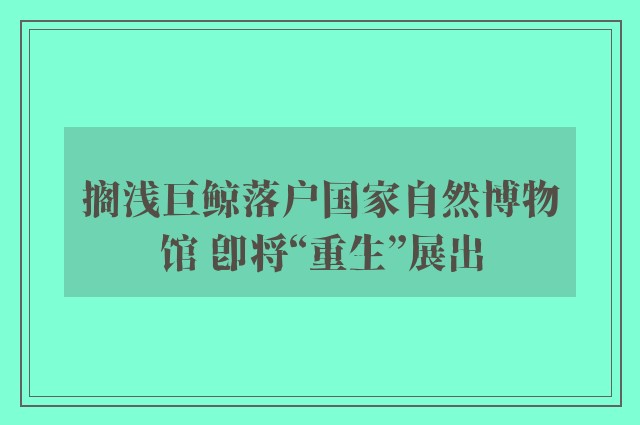 搁浅巨鲸落户国家自然博物馆 即将“重生”展出