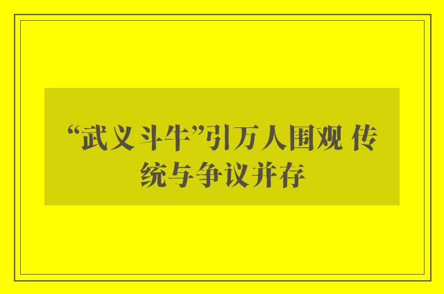 “武义斗牛”引万人围观 传统与争议并存