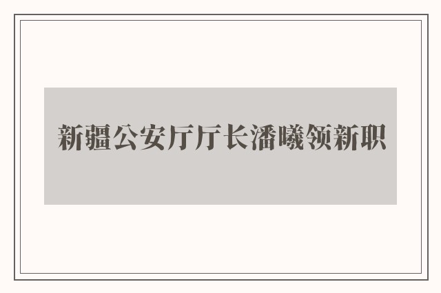 新疆公安厅厅长潘曦领新职