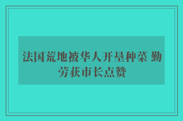 法国荒地被华人开垦种菜 勤劳获市长点赞