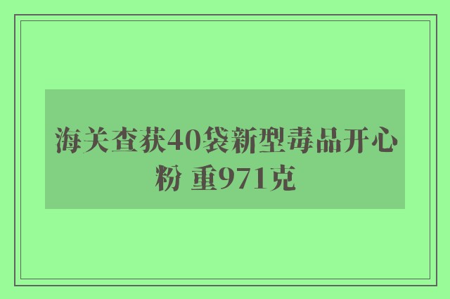 海关查获40袋新型毒品开心粉 重971克