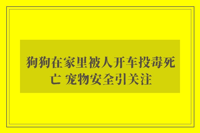 狗狗在家里被人开车投毒死亡 宠物安全引关注