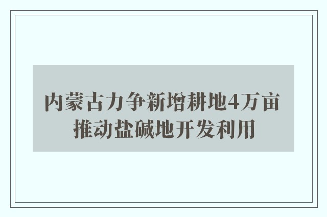 内蒙古力争新增耕地4万亩 推动盐碱地开发利用