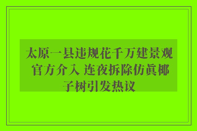 太原一县违规花千万建景观 官方介入 连夜拆除仿真椰子树引发热议