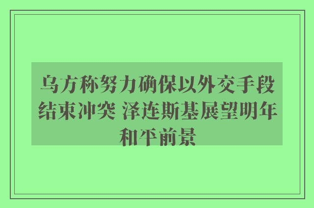 乌方称努力确保以外交手段结束冲突 泽连斯基展望明年和平前景