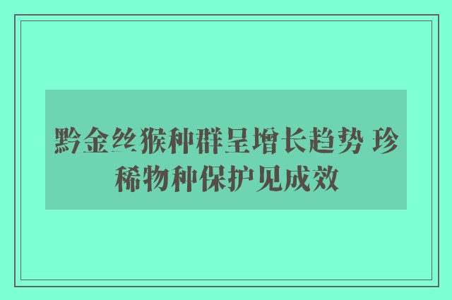 黔金丝猴种群呈增长趋势 珍稀物种保护见成效