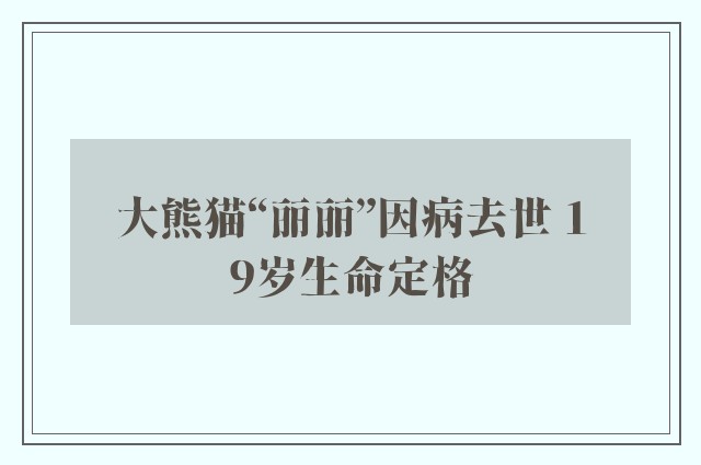 大熊猫“丽丽”因病去世 19岁生命定格