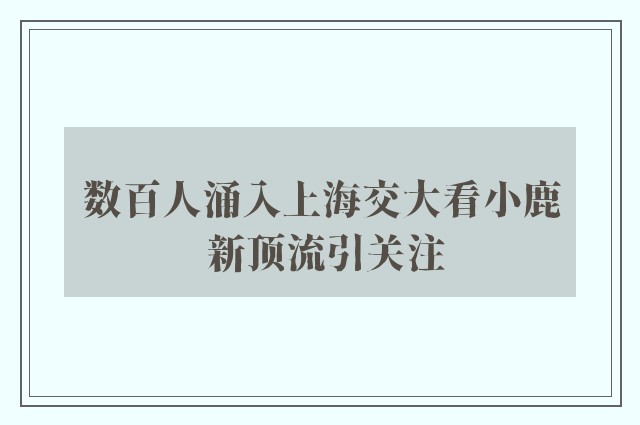 数百人涌入上海交大看小鹿 新顶流引关注