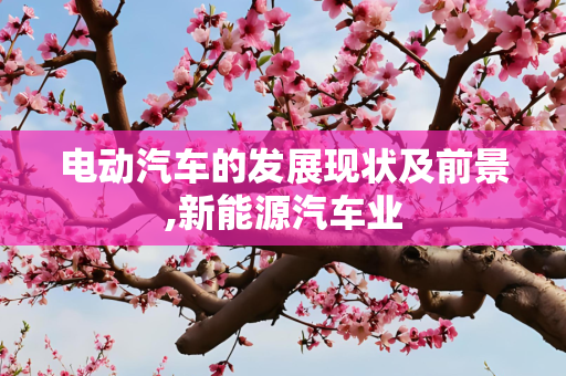 电动汽车的发展现状及前景,新能源汽车业