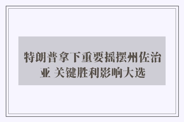 特朗普拿下重要摇摆州佐治亚 关键胜利影响大选